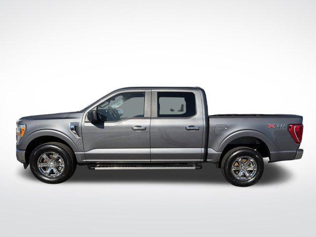 used 2023 Ford F-150 car, priced at $39,995