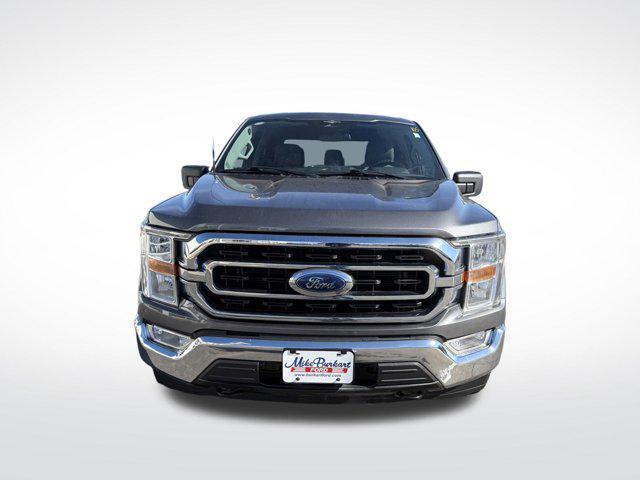 used 2023 Ford F-150 car, priced at $39,995