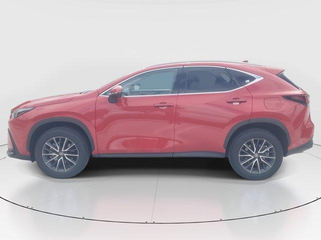 used 2024 Lexus NX 250 car, priced at $37,980