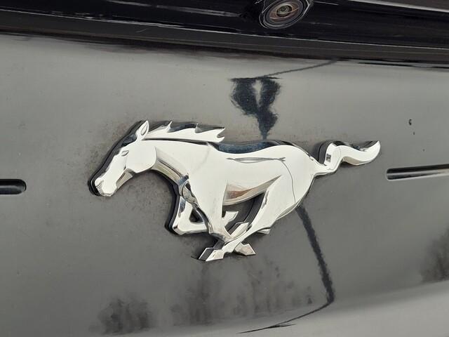 used 2023 Ford Mustang car, priced at $20,900