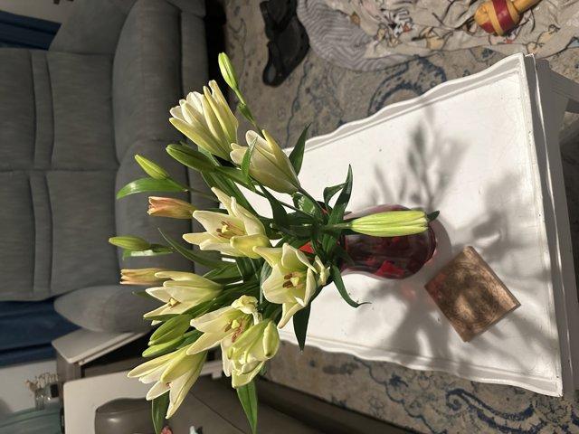 used 2020 Hyundai Santa Fe car, priced at $16,654