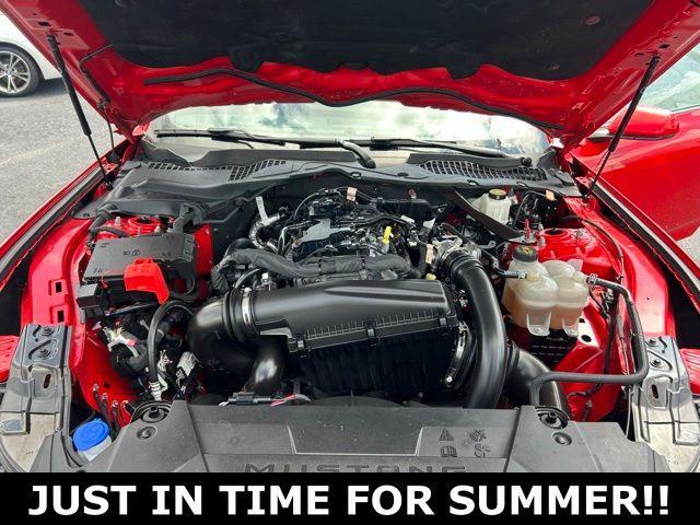used 2024 Ford Mustang car, priced at $29,420
