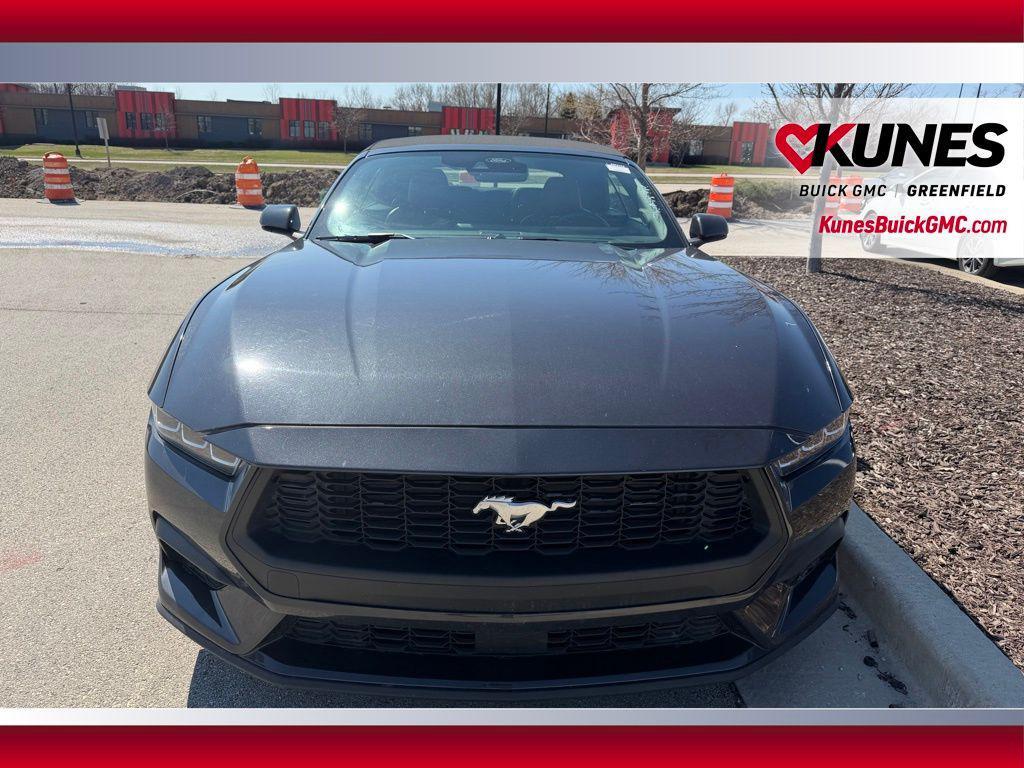 used 2024 Ford Mustang car