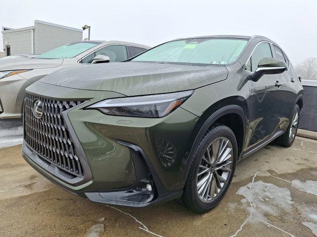used 2025 Lexus NX 350 car, priced at $50,950