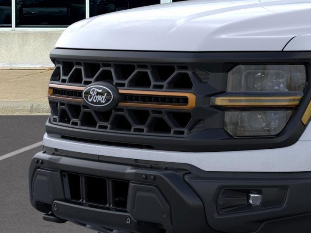 new 2025 Ford F-150 car