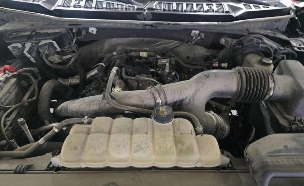 used 2019 Ford F-150 car, priced at $25,134