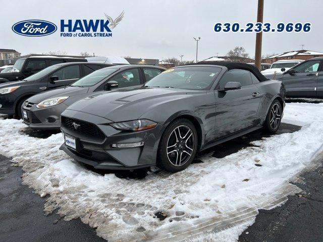used 2019 Ford Mustang car, priced at $19,999
