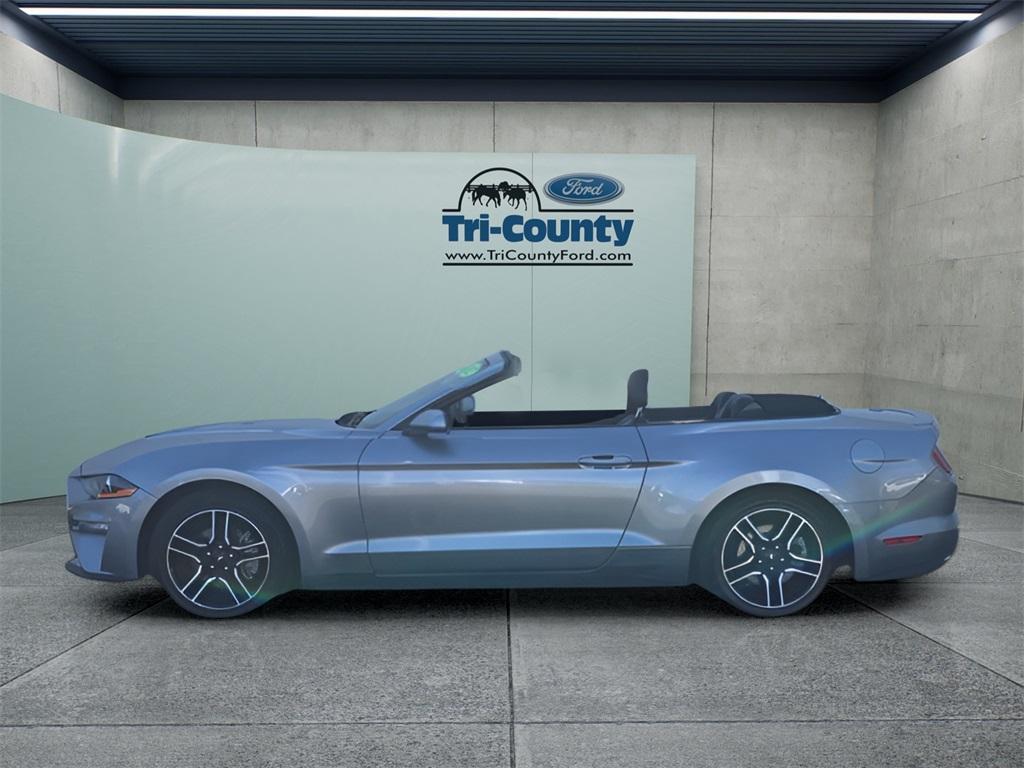 used 2022 Ford Mustang car, priced at $22,000