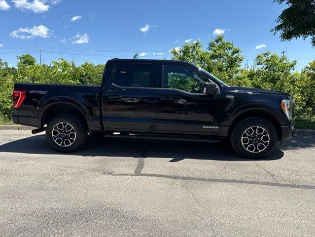 used 2021 Ford F-150 car, priced at $32,000