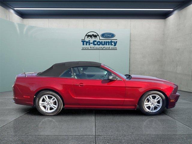 used 2014 Ford Mustang car, priced at $9,500
