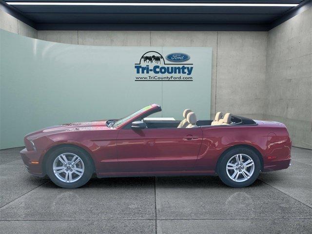 used 2014 Ford Mustang car, priced at $9,500