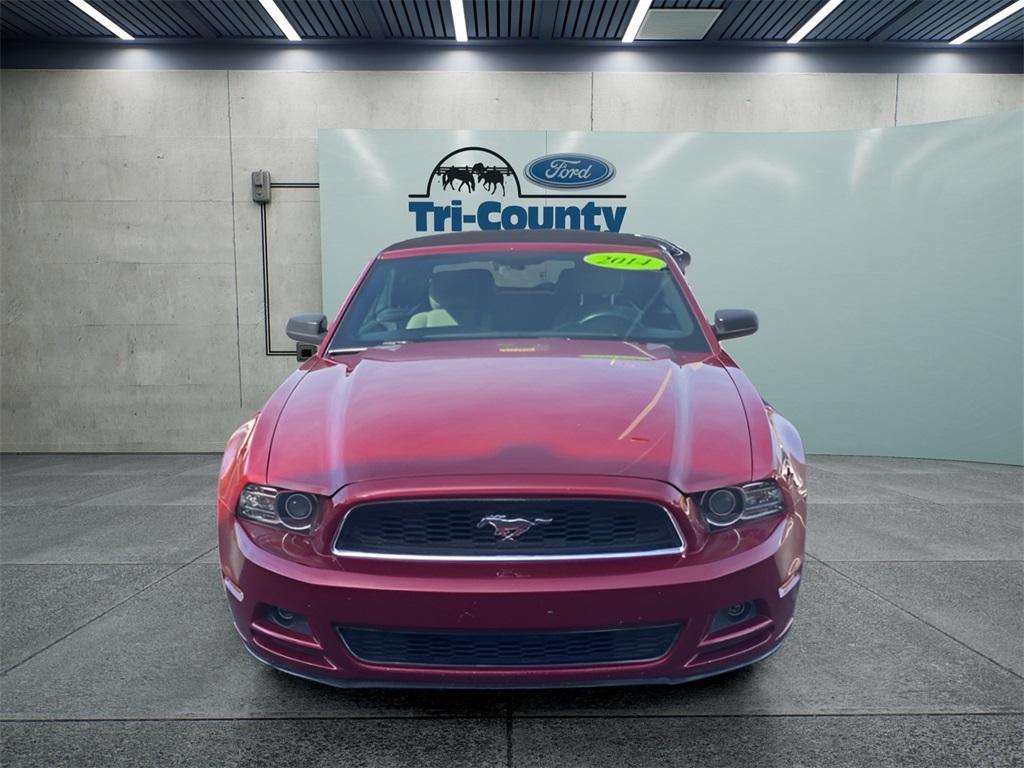 used 2014 Ford Mustang car, priced at $9,500