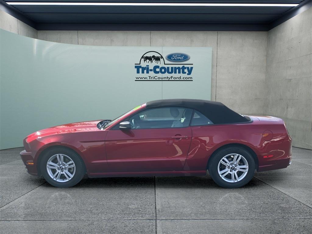 used 2014 Ford Mustang car, priced at $9,500