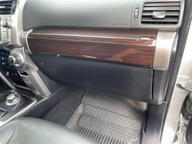 2017 Silver Toyota 4Runner