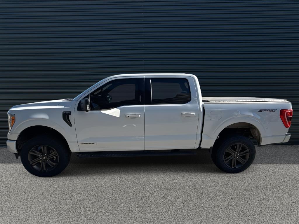 used 2023 Ford F-150 car, priced at $39,990
