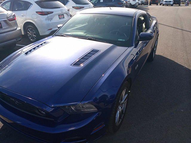 used 2014 Ford Mustang car