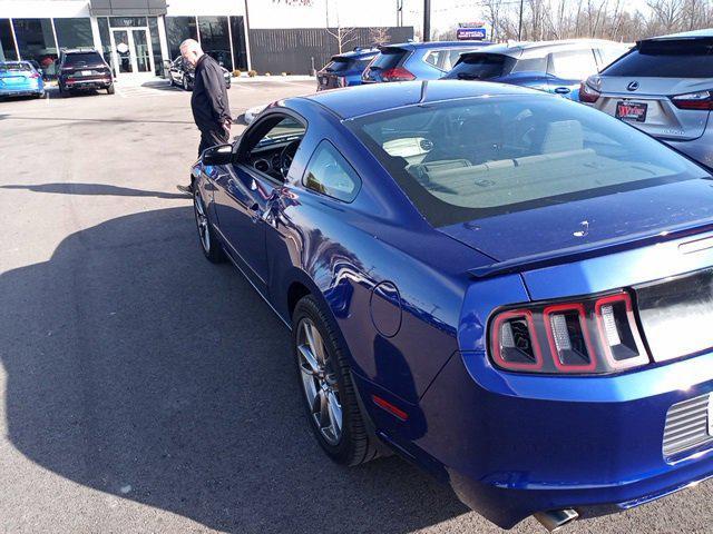 used 2014 Ford Mustang car