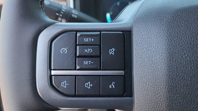 new 2025 Ford F-250 car, priced at $78,820