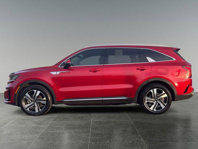used 2023 Kia Sorento Hybrid car, priced at $29,754