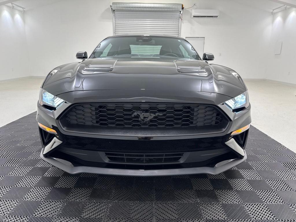 used 2023 Ford Mustang car, priced at $30,880