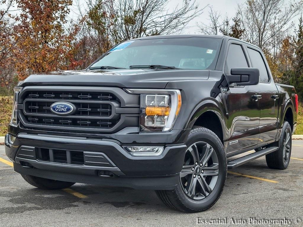 used 2023 Ford F-150 car, priced at $41,500