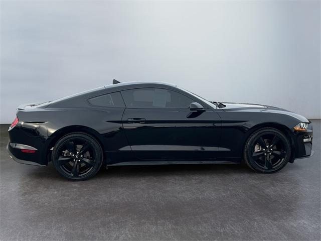 used 2021 Ford Mustang car