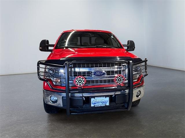 used 2014 Ford F-150 car