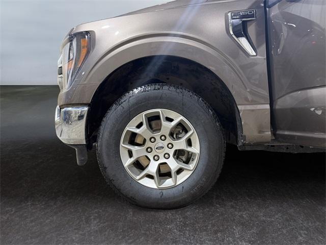 used 2023 Ford F-150 car