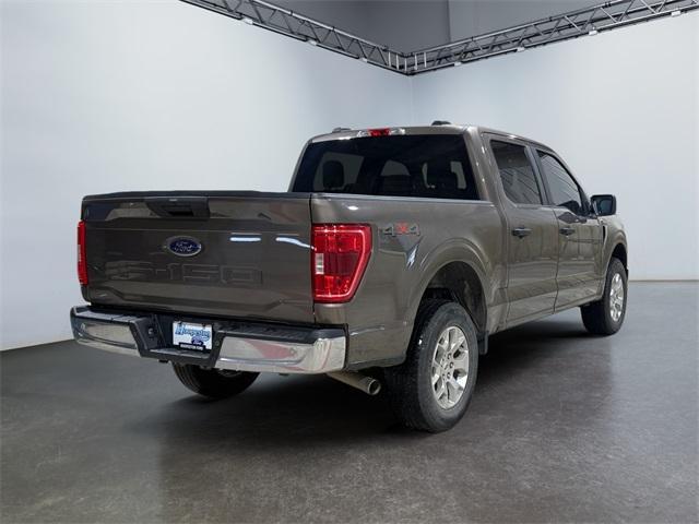 used 2023 Ford F-150 car