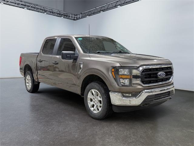 used 2023 Ford F-150 car