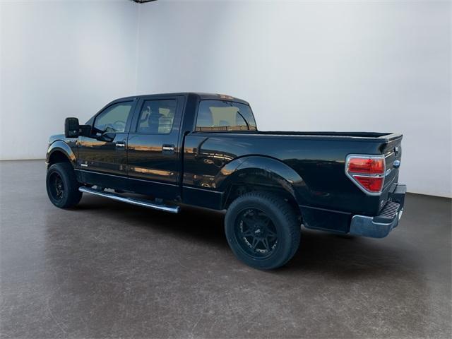 used 2013 Ford F-150 car