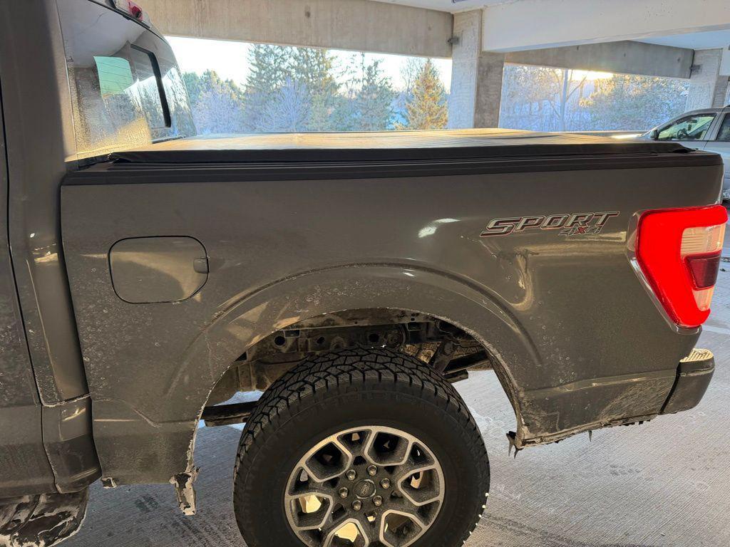 used 2022 Ford F-150 car