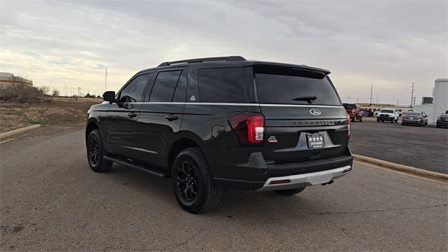 used 2023 Ford Expedition car