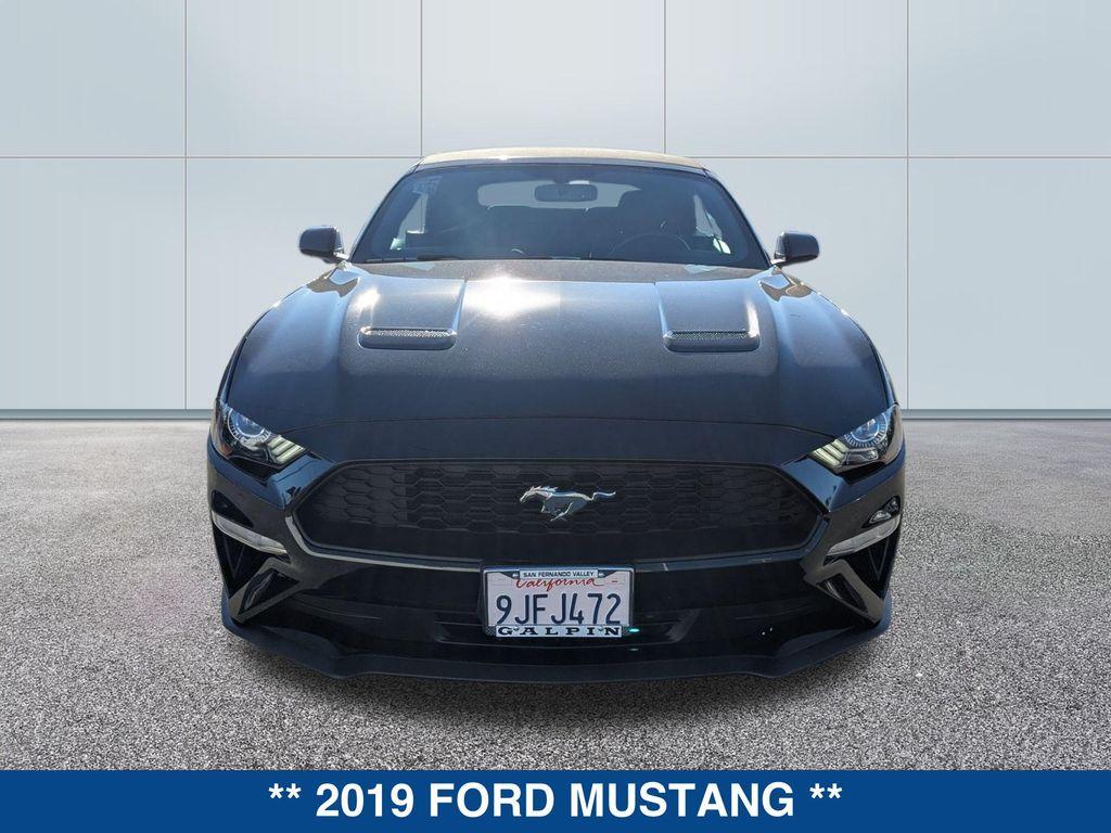 used 2019 Ford Mustang car, priced at $24,275