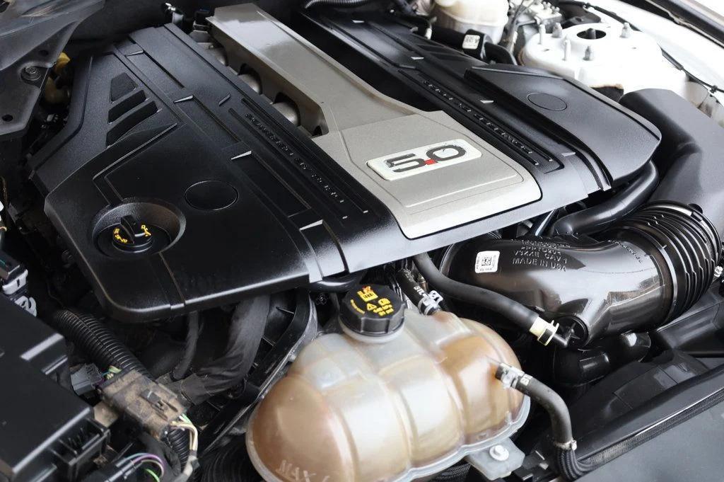 used 2019 Ford Mustang car, priced at $24,957