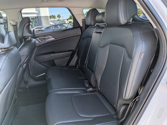 used 2024 Kia Sportage car