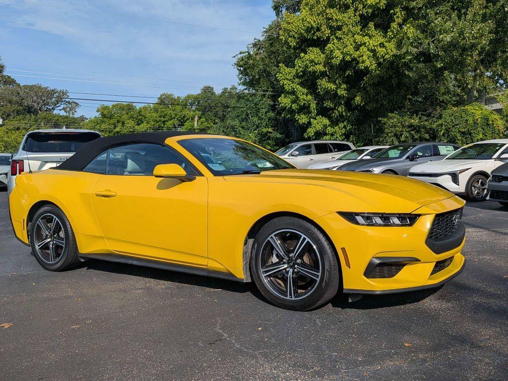 used 2024 Ford Mustang car