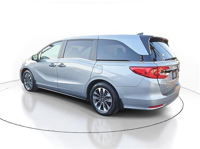used 2024 Honda Odyssey car
