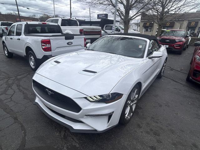 used 2023 Ford Mustang car, priced at $25,995