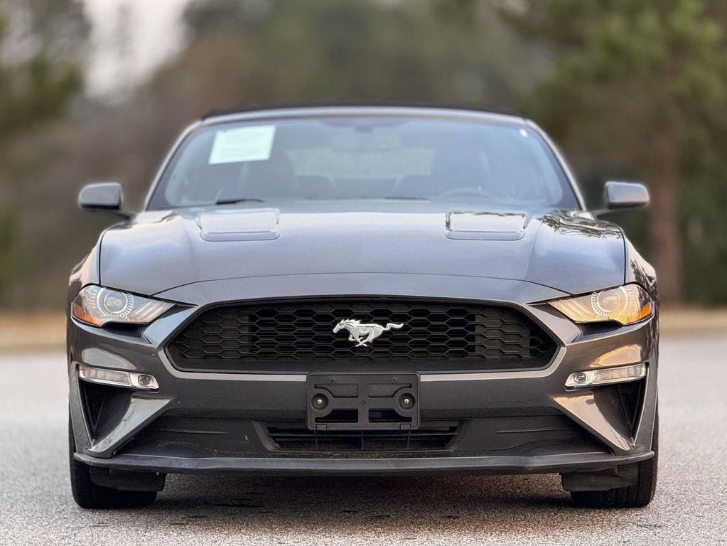 used 2019 Ford Mustang car, priced at $18,289