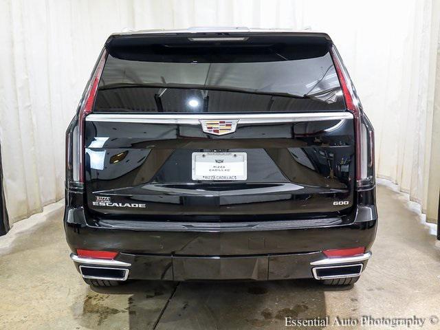 used 2021 Cadillac Escalade car, priced at $55,950