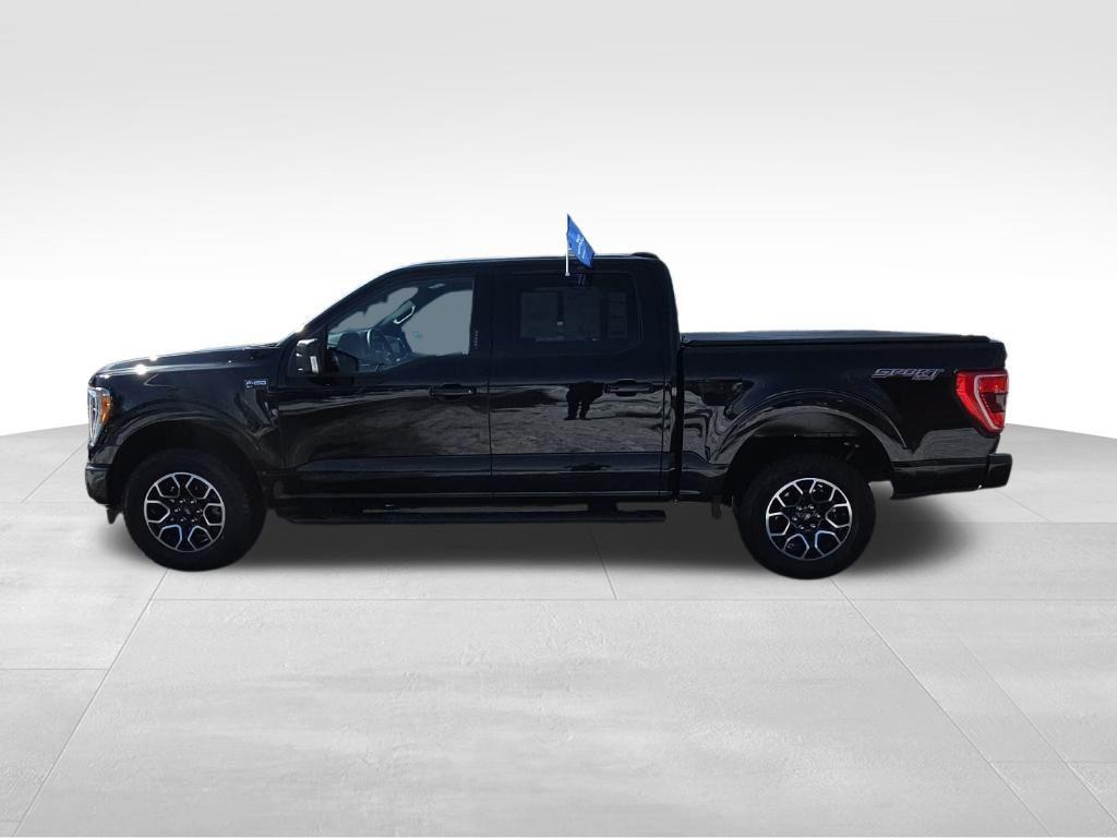 used 2023 Ford F-150 car, priced at $39,999