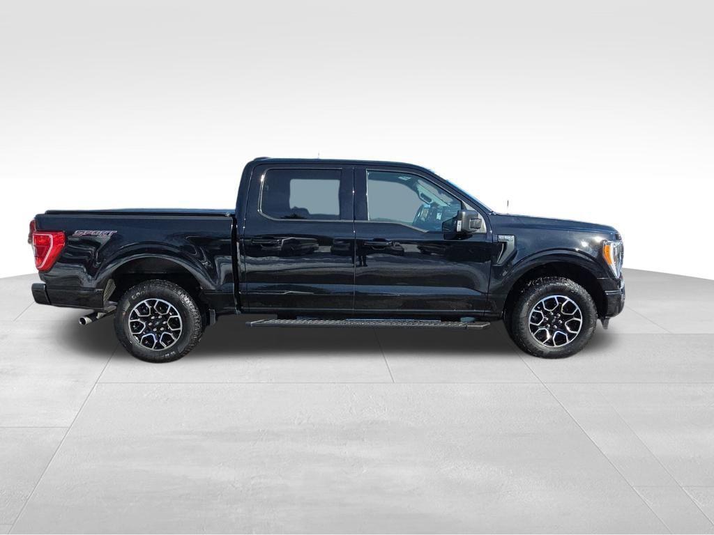 used 2023 Ford F-150 car, priced at $39,999