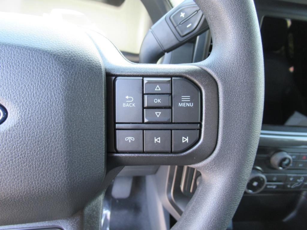 new 2025 Ford F-150 car, priced at $48,167