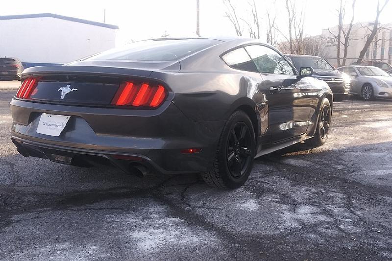 used 2015 Ford Mustang car, priced at $15,000
