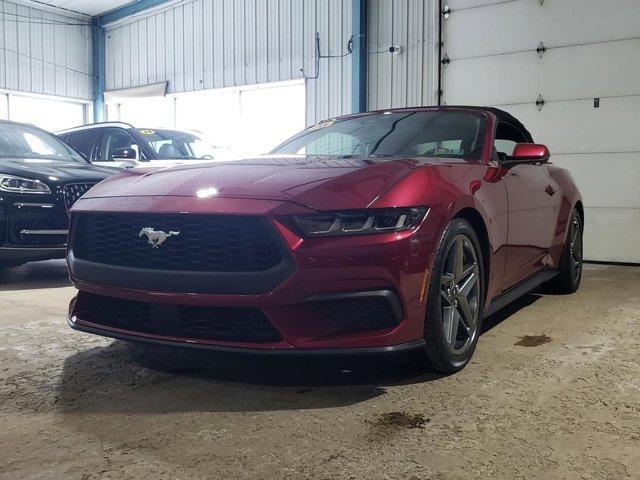 used 2025 Ford Mustang car, priced at $42,999