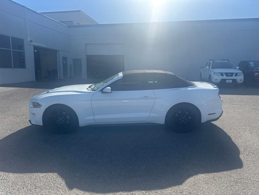 used 2019 Ford Mustang car, priced at $18,500