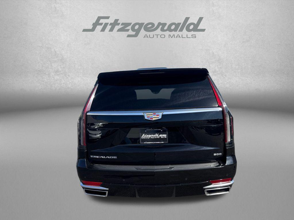 used 2021 Cadillac Escalade car, priced at $55,789