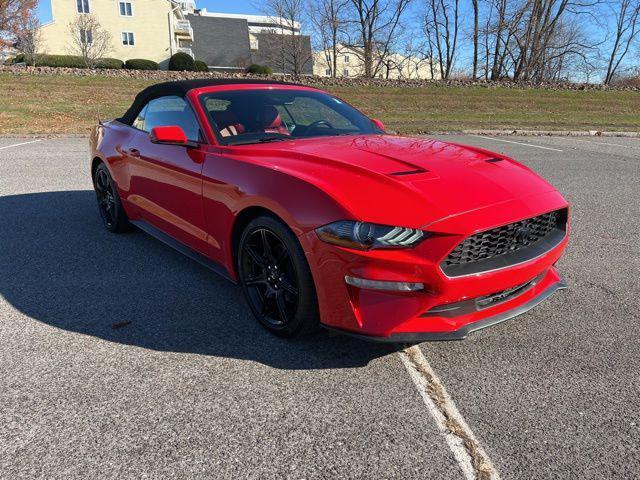 used 2019 Ford Mustang car, priced at $20,495