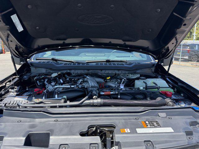 new 2025 Ford F-250 car, priced at $98,800